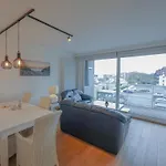 By The Coast In Belgium