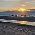Διαμέρισμα By The Coast In Belgium