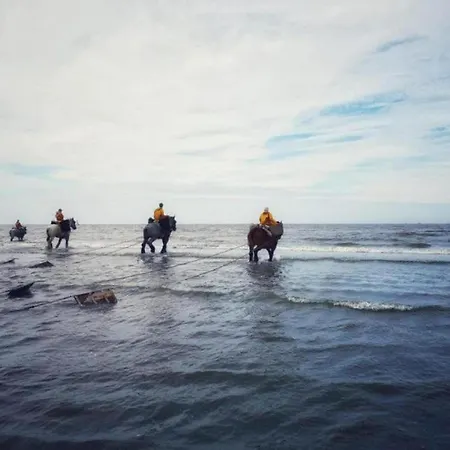 By The Coast In Belgium Oostduinkerke