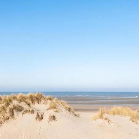 By The Coast In Belgium
