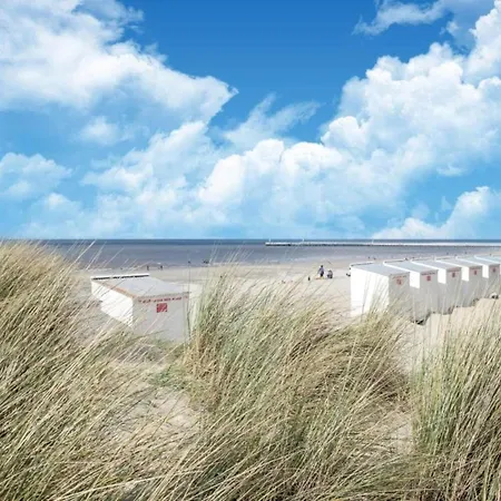 By The Coast In Belgium Appartamento