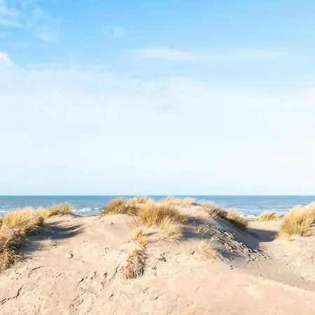 By The Coast In Belgium