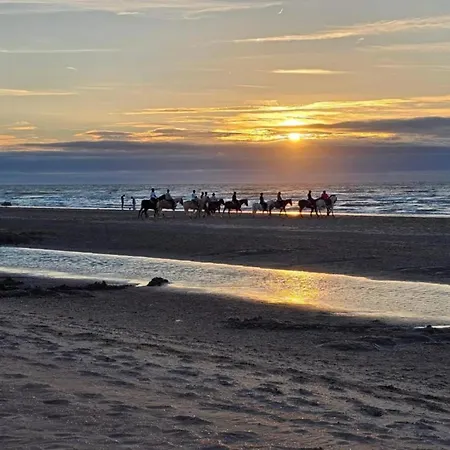 Appartamento By The Coast In Belgium