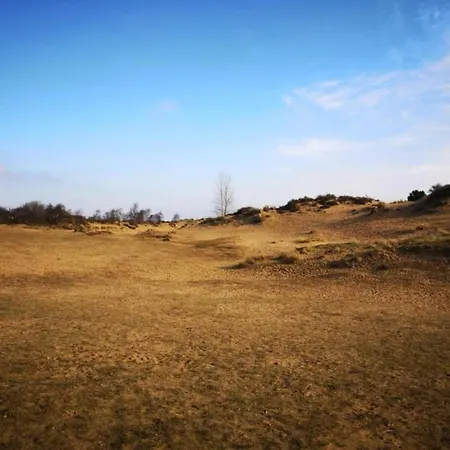 By The Coast In Belgium * Oostduinkerke